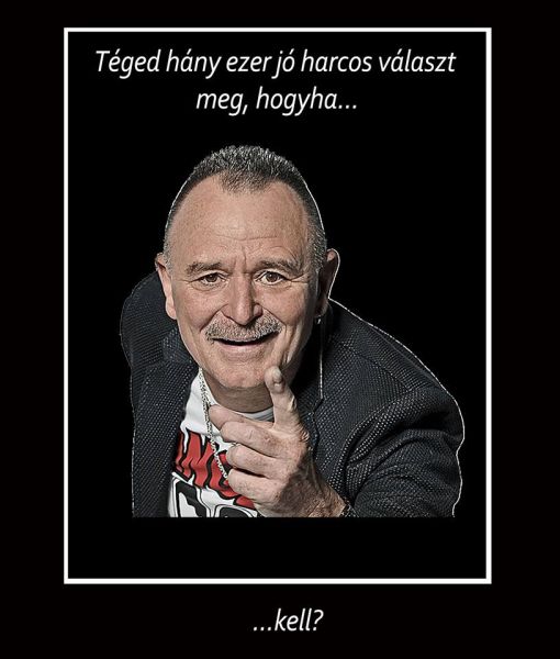 Fájl:Orszagunk kiralya legy 2013 03.jpg